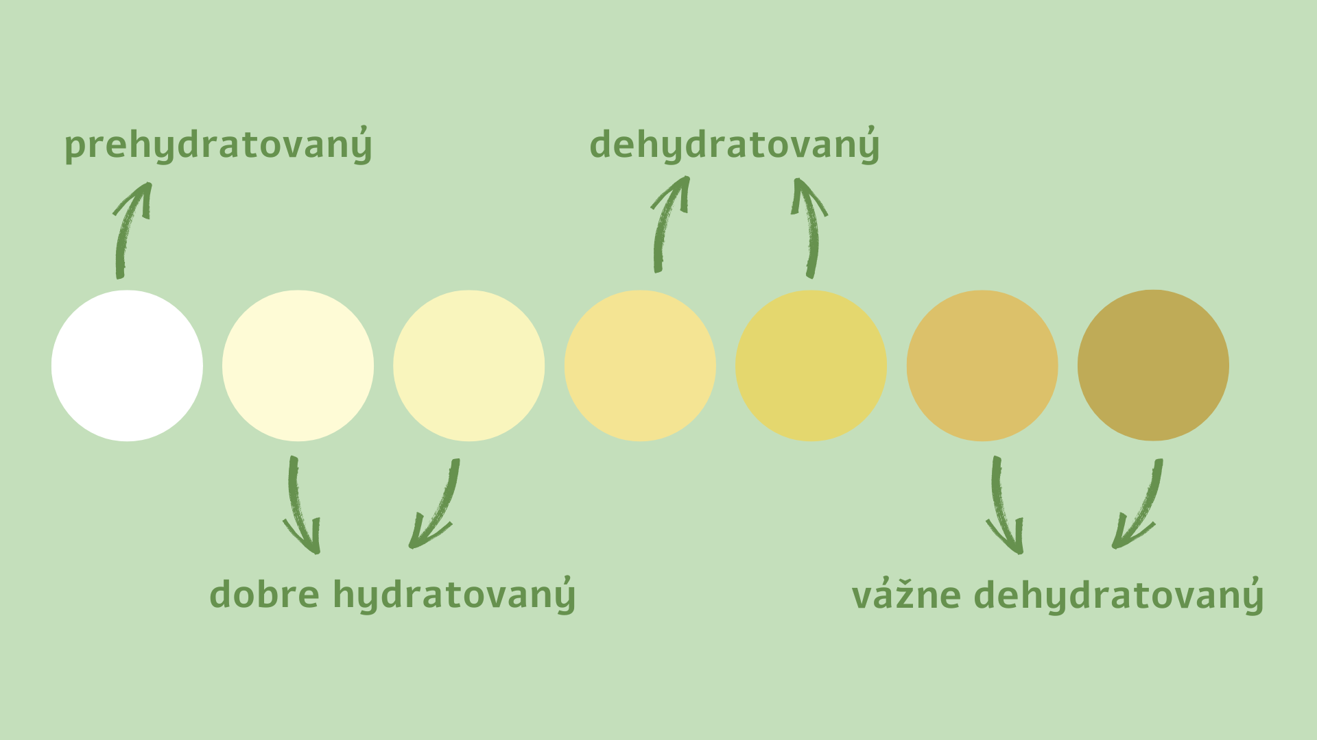 farby moču SK
